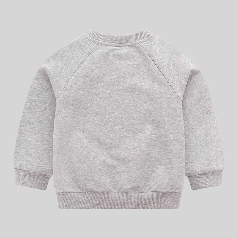 LABI BABY Kids Round Neck Hoodie Long Sleeves Outdoor Sport Pullovers Cotton Toddler Tops Spring Autumn Children Clothing